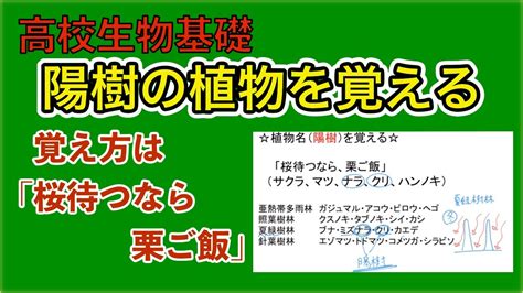 陽樹 陰樹 一覧 生物基礎|陽生植物と陰生植物 